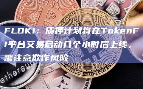 FLOKI：质押计划将在TokenFi平台交易启动几个小时后上线，需注意欺诈风险