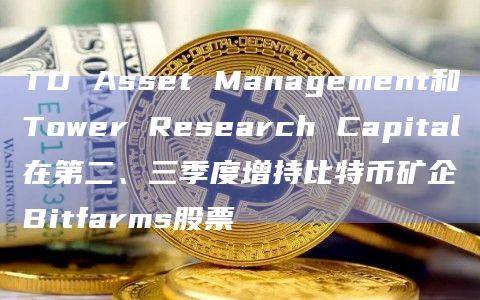 Tower Research Capital LLC TRC在第三季度将其持有的Bitfarms股份增加了1237.8%