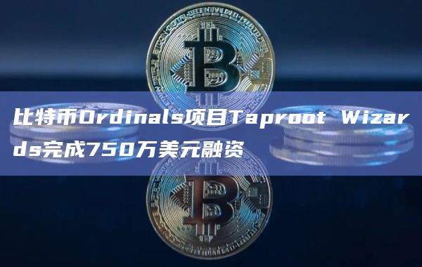 Taproot Wizards是比特币Ordinals项目