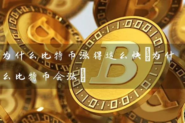 为什么比特币涨幅这么大的原因