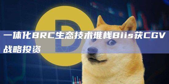 一体化BRC生态技术堆栈Biis是什么?