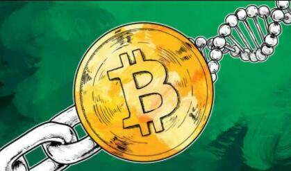 全球加密数字货币十大榜单