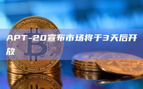 APT-20已有超1000种铭文部署