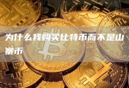 为什么买比特币而不是山寨币？