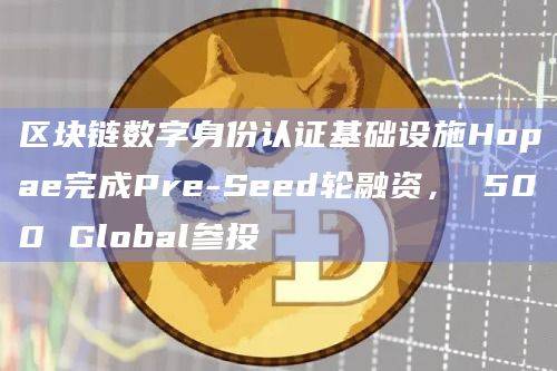 区块链数字身份认证基础设施Hopae今日动态