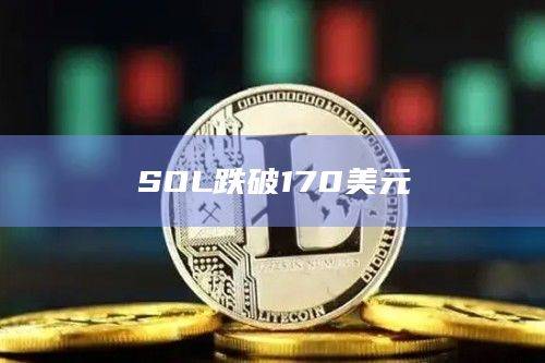 SOL币今日最新价格跌破170美元