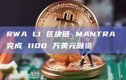 RWA L1区块链MANTRA完成融资