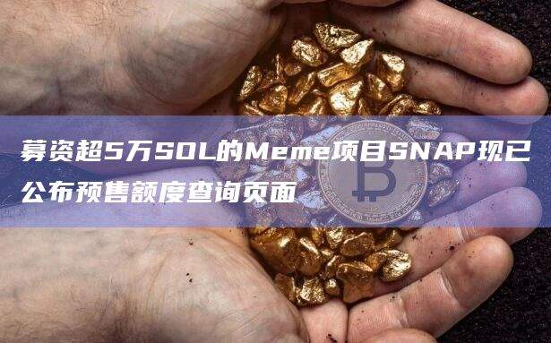 SOL币的Meme项目SNAP现已公布预售额度查询页面