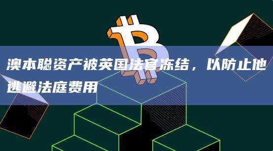 澳本聪资产被英国法官冻结