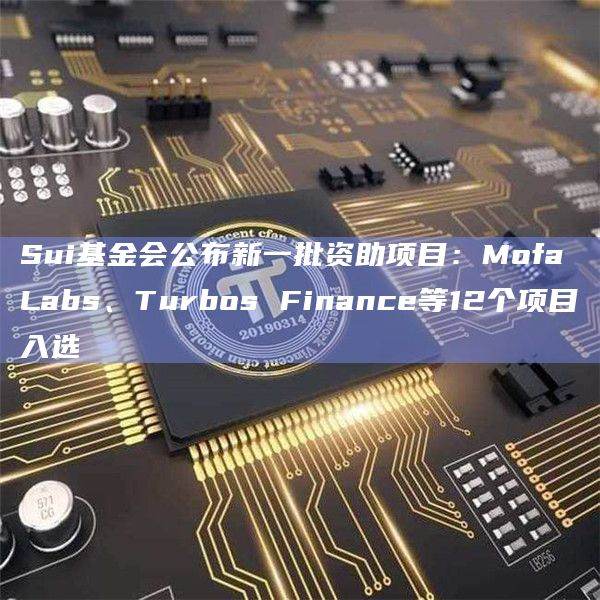 Sui基金会公布新一批12个资助项目