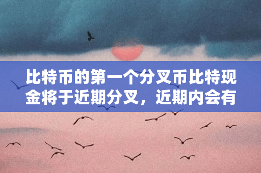 比特币分叉出来的bch、btg等分叉币是什么?