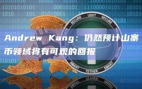 山寨币领域最新观点