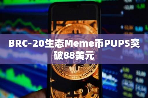 BRC-20生态Meme币PUPS今日最新价格突破88美元