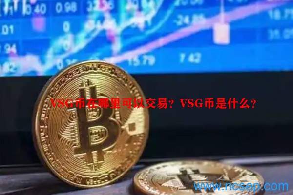 VSG币是什么?