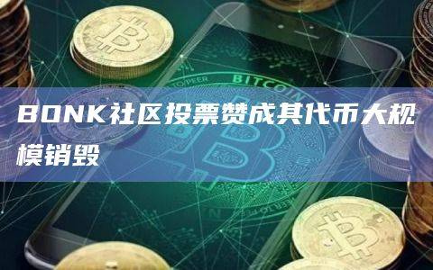 BONK代币大规模销毁投票已赞成