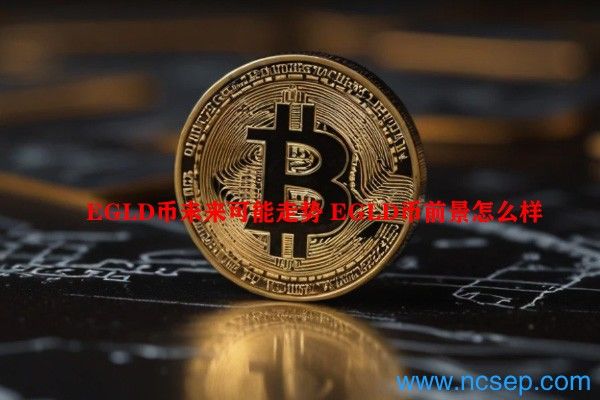 EGLD币未来发展前景