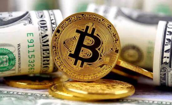 维卡币最新消息）