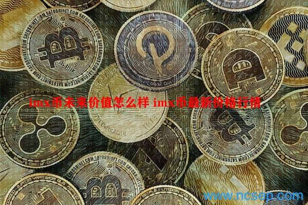 IMX币未来价值怎么样